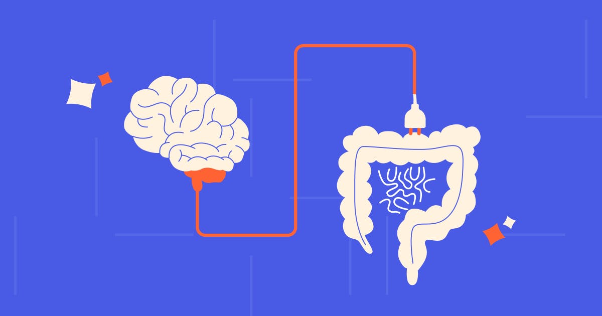 How Does Gut Health Affect Mental Health? | Fluent Health