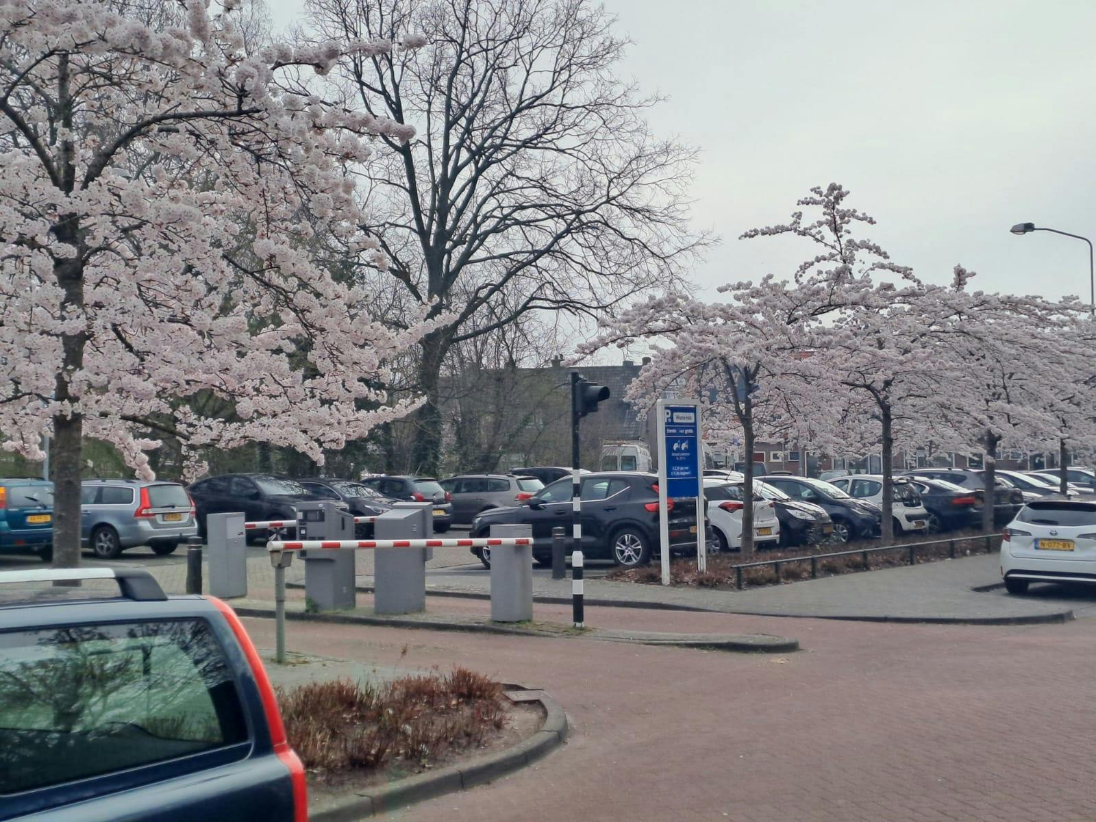 Parkeerterrein Payflux Harderwijk