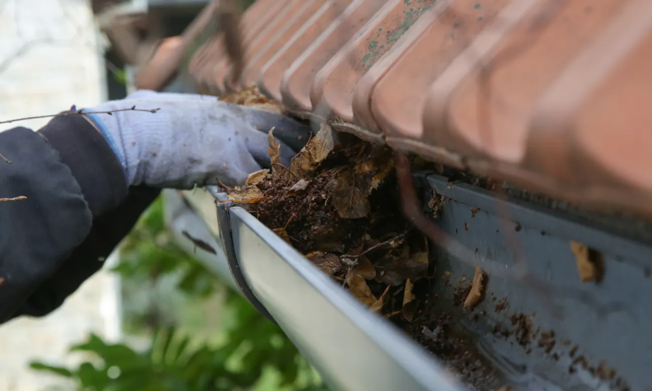 gutter cleaning boise