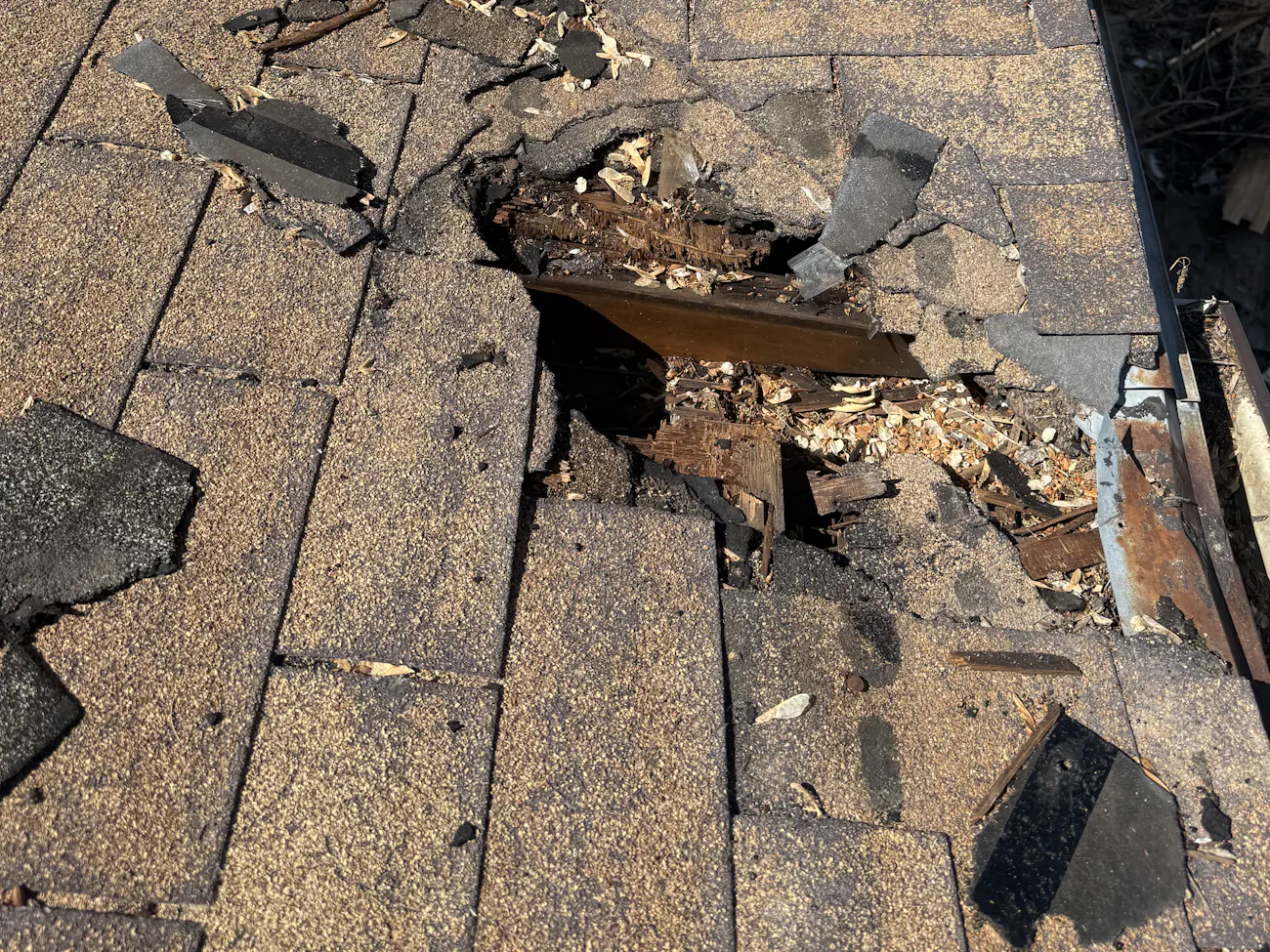 Large hole in roof that needs repair