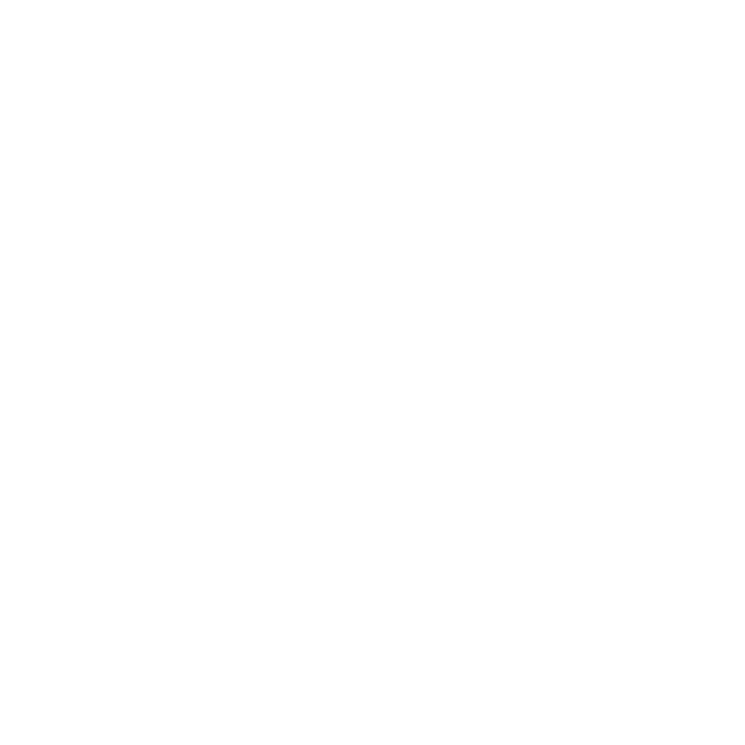 Advanced Security icon