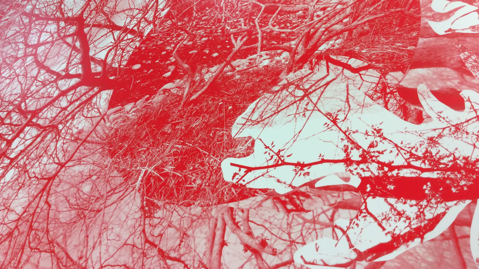 Layered red-toned image of tree branches over abstract shapes and grass textures.