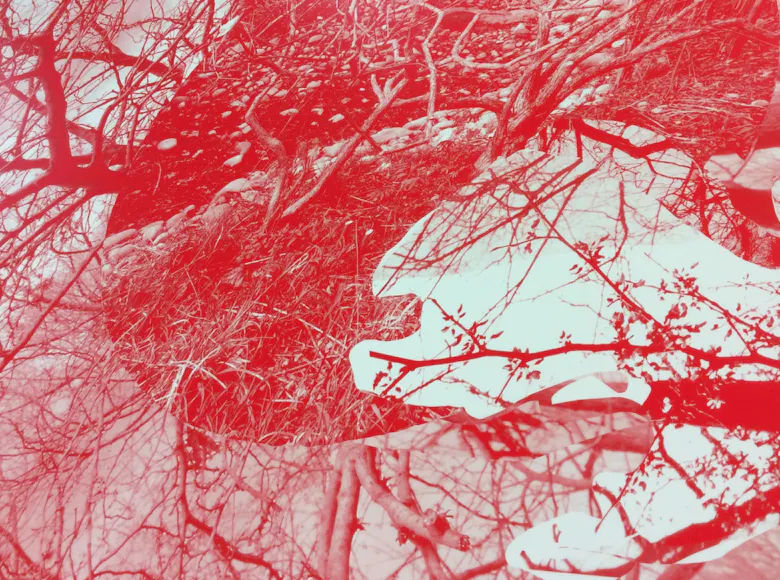 Layered red-toned image of tree branches over abstract shapes and grass textures.