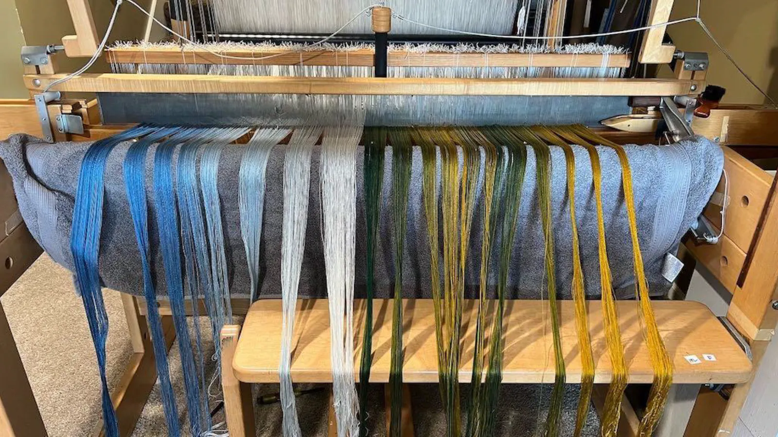 Close-up of the loom used by artist Debbie Barrett-Jones to create her artwork, with gradient-dyed warp threads in blue, gray, green, and gold draped over a cloth-covered beam, ready for weaving.