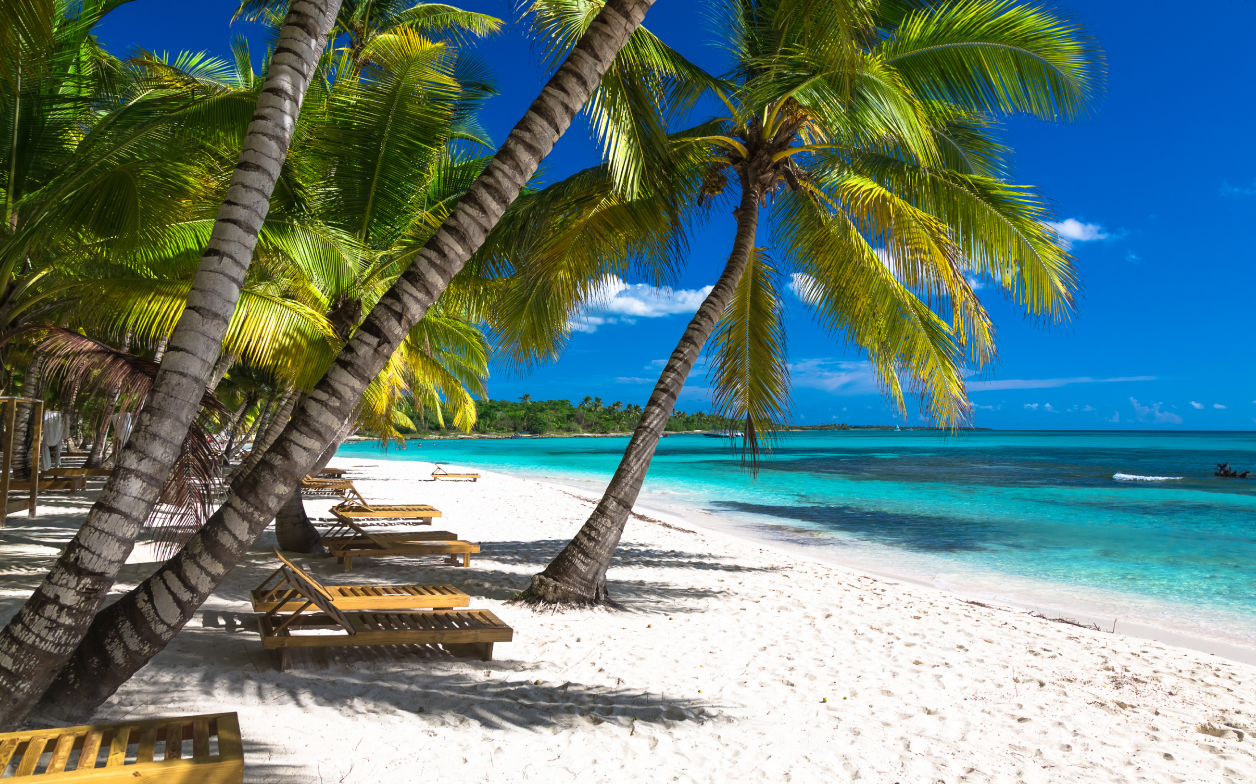 Sunny Caribbean beach with clear blue water and white sand and palm trees