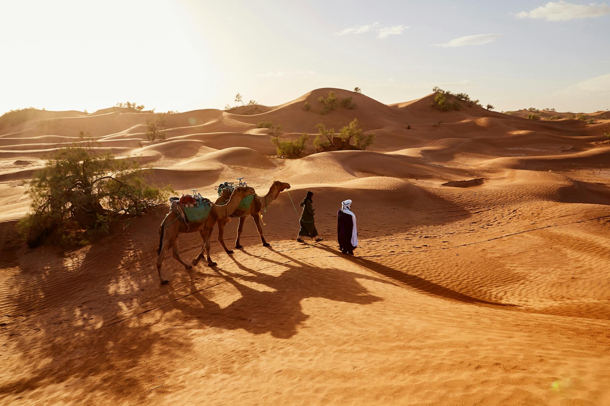 Zwei Berber laufen gemeinsam mit ihren Kamelen durch die Wüste. 