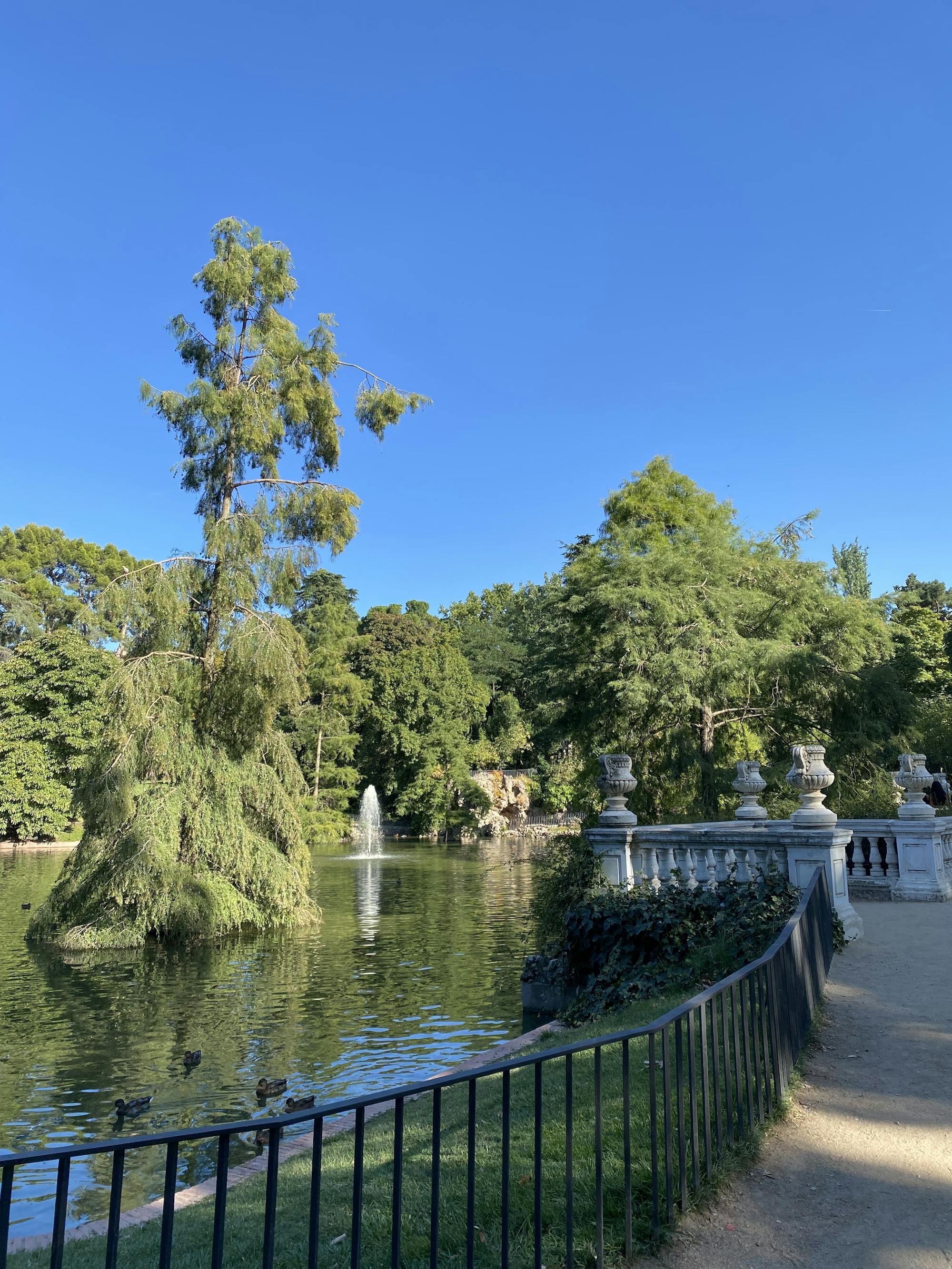 Retiro-Park: Bäume und ein Brunnen in der Mitte des Sees