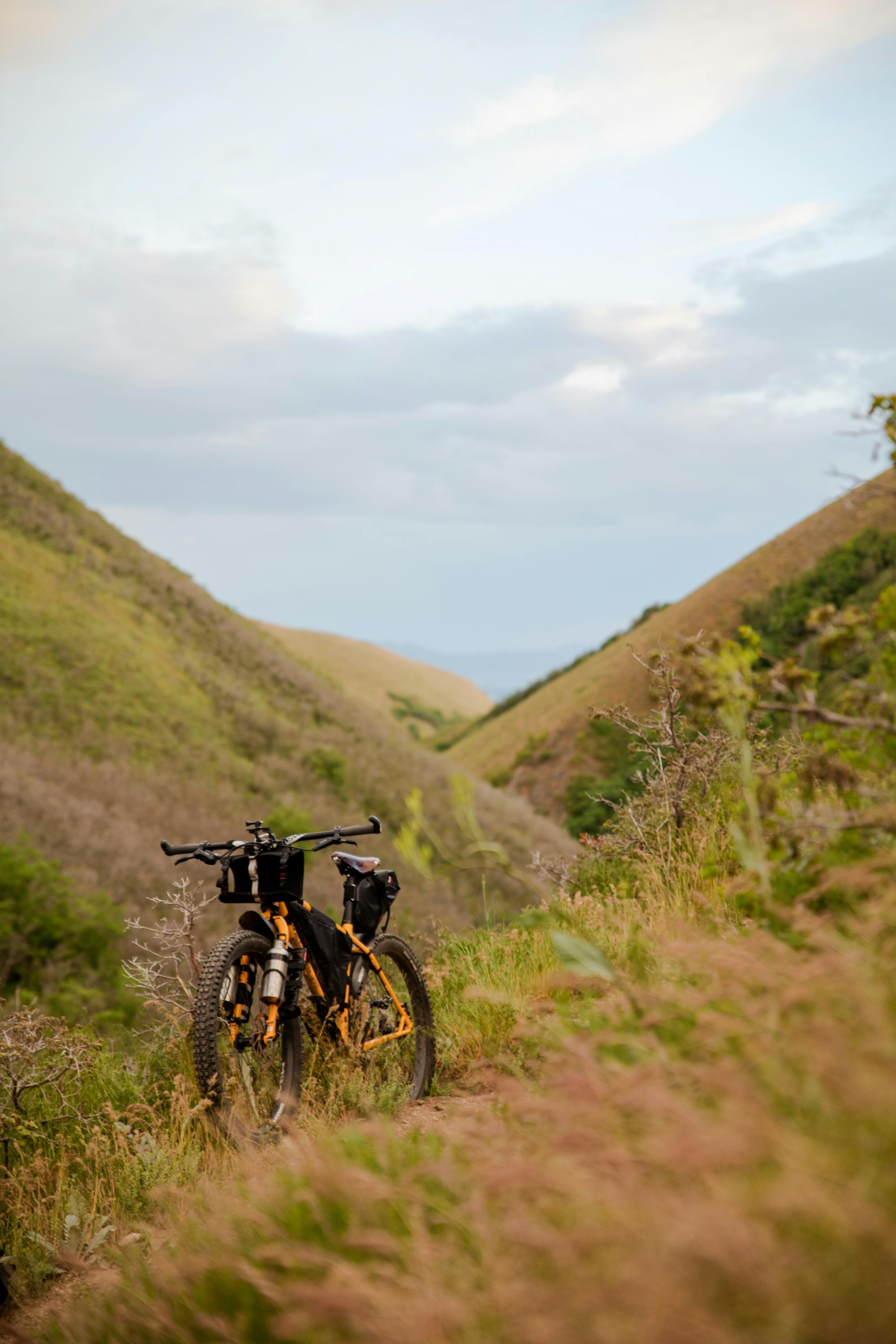 Mountainbike stoi samotnie w przyrodzie. W tle widać wiele wysokich pagórków porośniętych trawą.