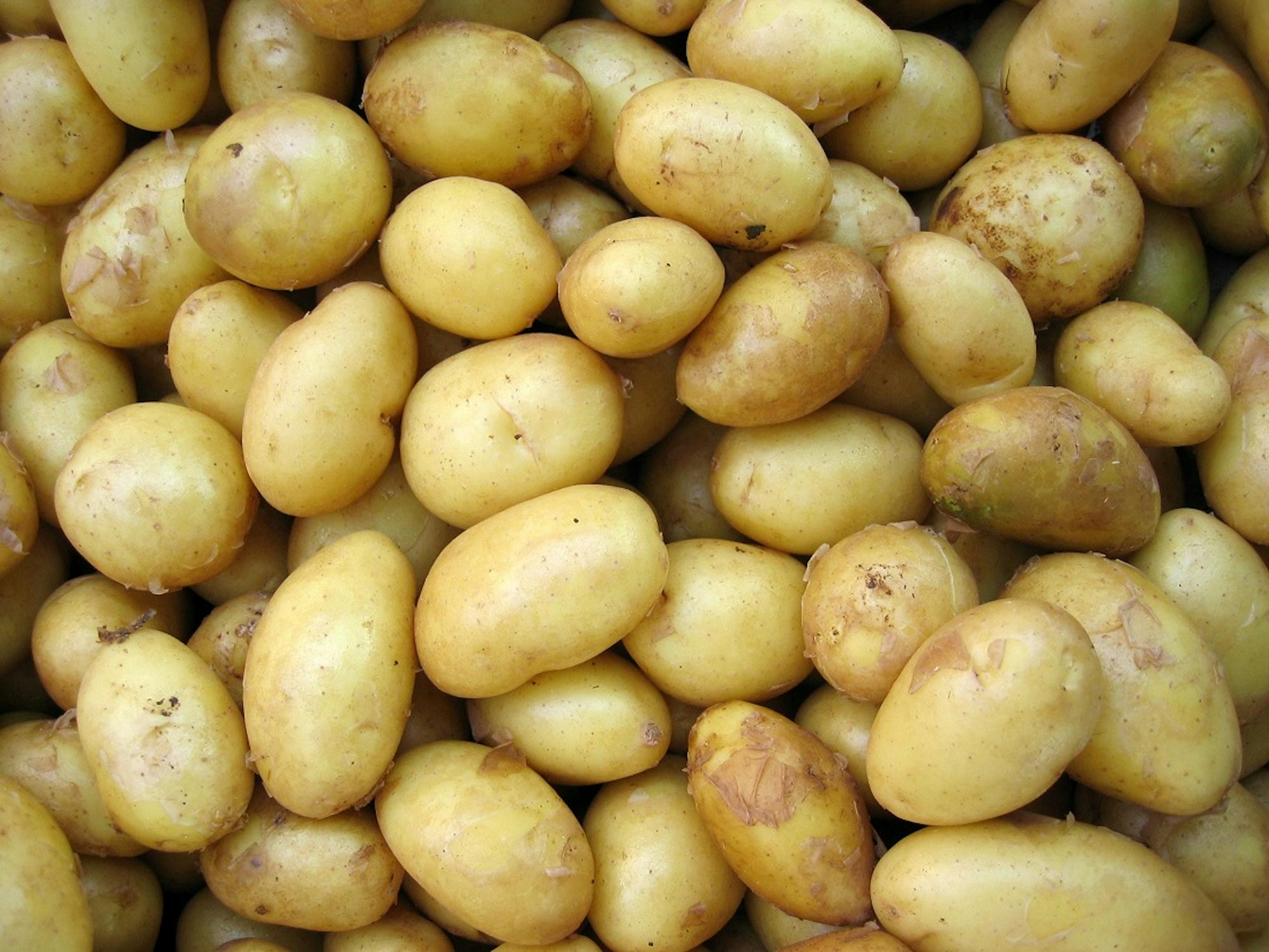 Liczne ziemniaki leżą zebrane na stosie.
