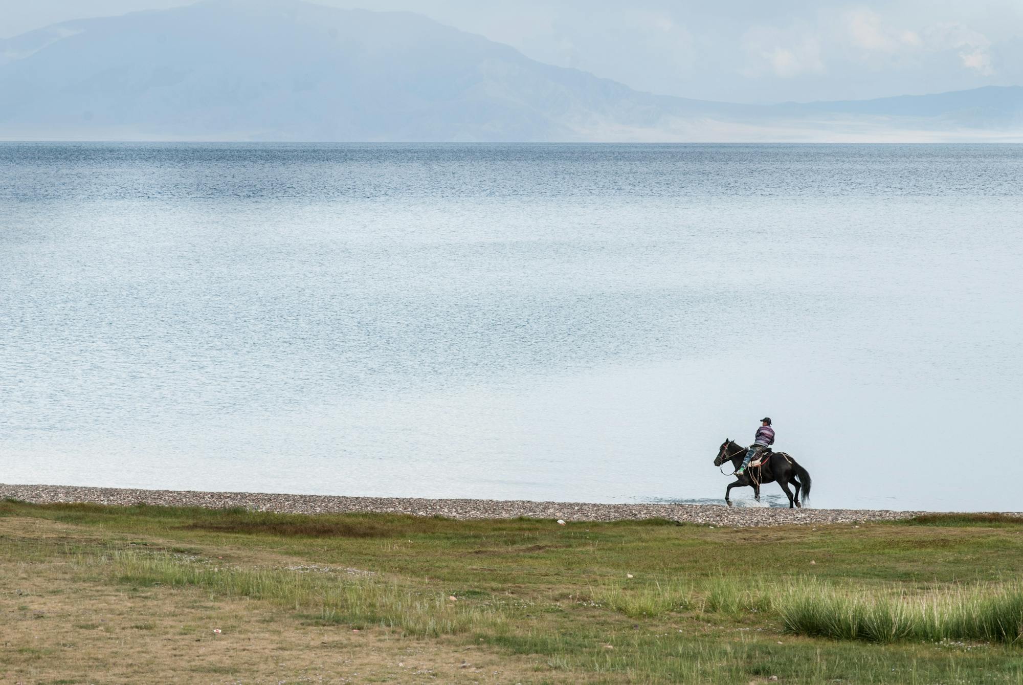 Eine Person reitet mit ihrem Pferd am Wasser entlang. Um sie herum befindet sich nichts außer naturbelassene Landschaft.