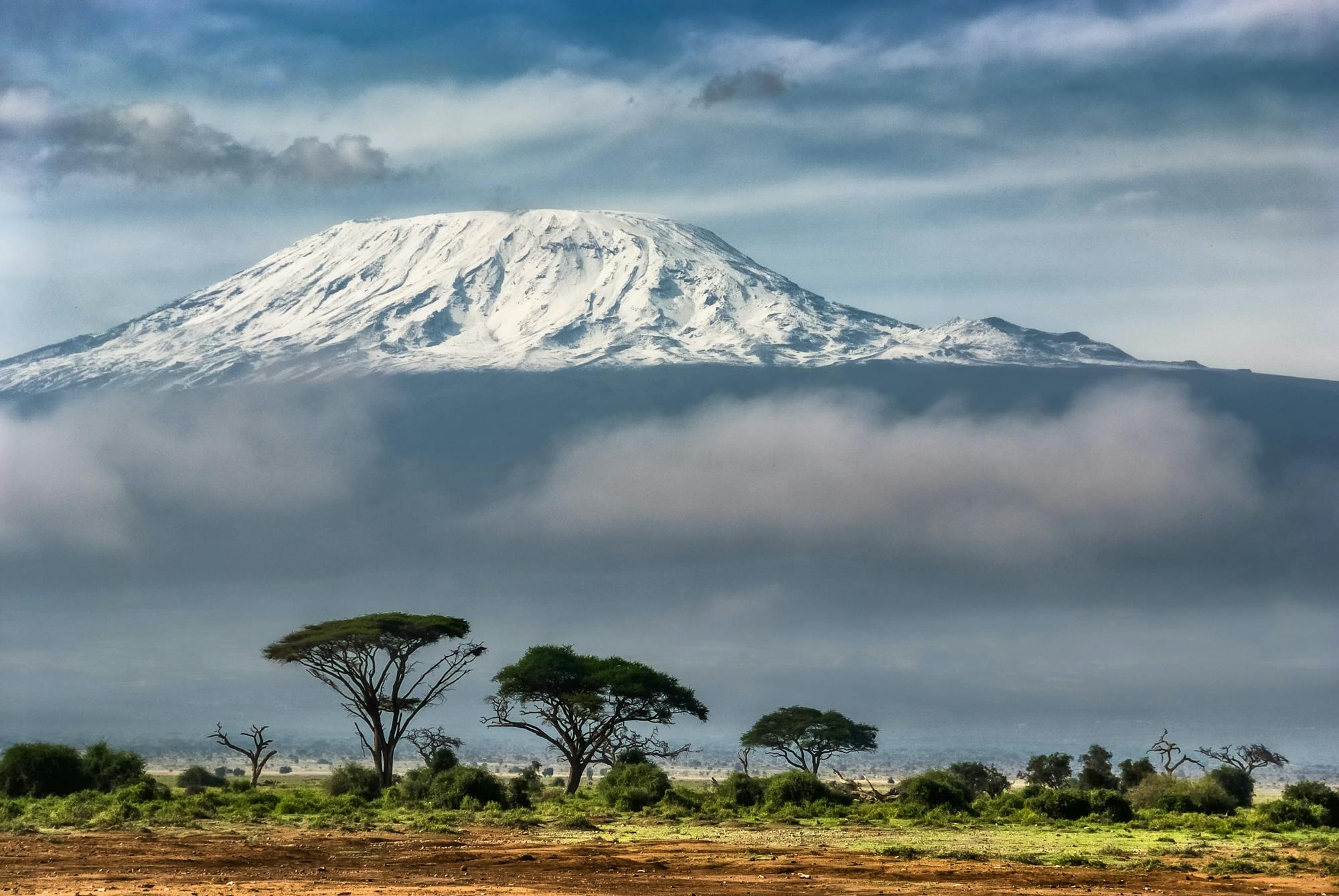 Der Kilimandscharo mit seinem schneebedeckten Kibo-Gipfel.