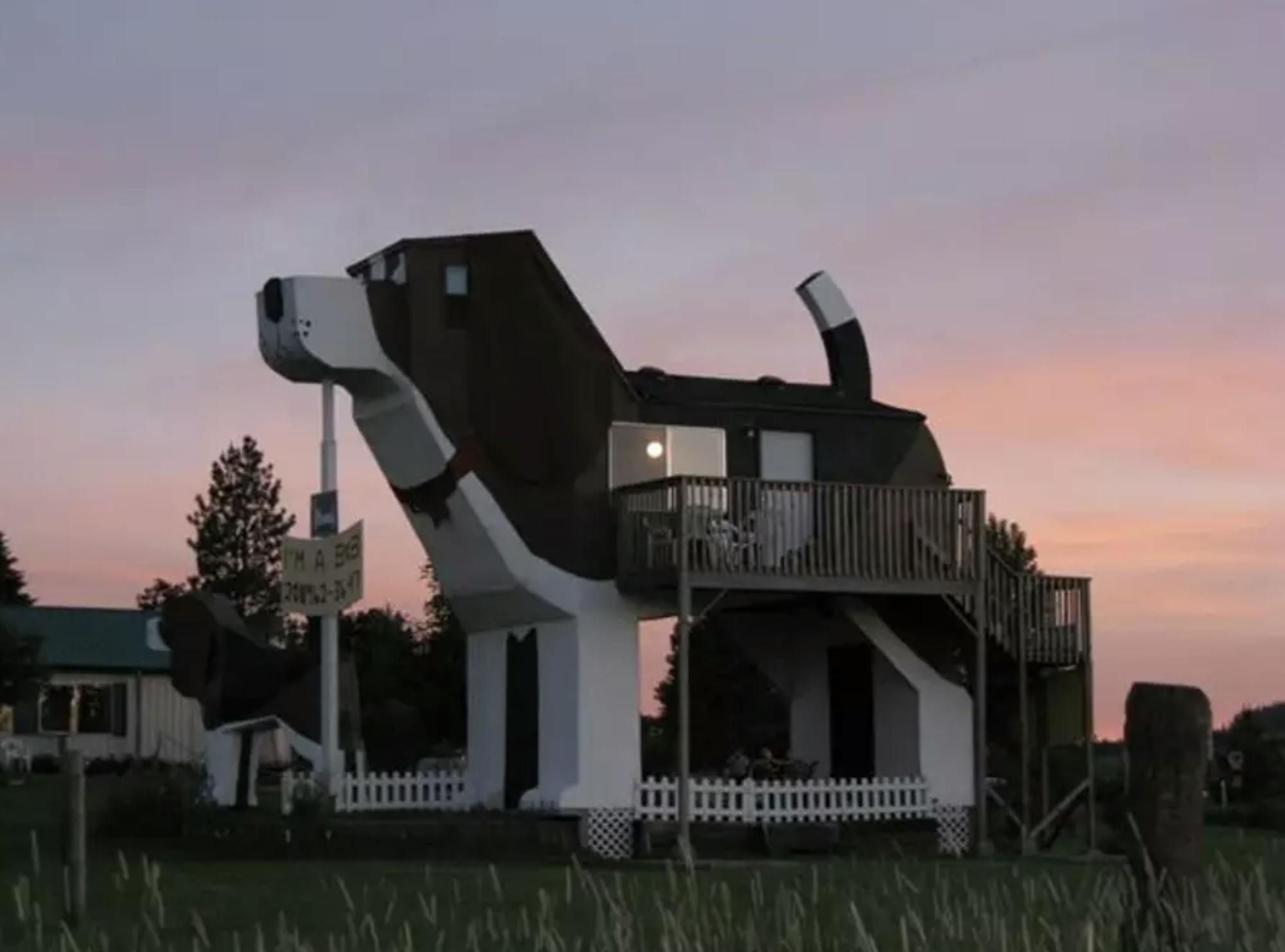 Jednopiętrowy domek wygląda jak ogromny pies. Z brzucha psa wychodzi balkon.