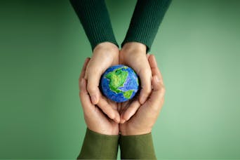 Die besten Robo-Advisor für Einsteiger