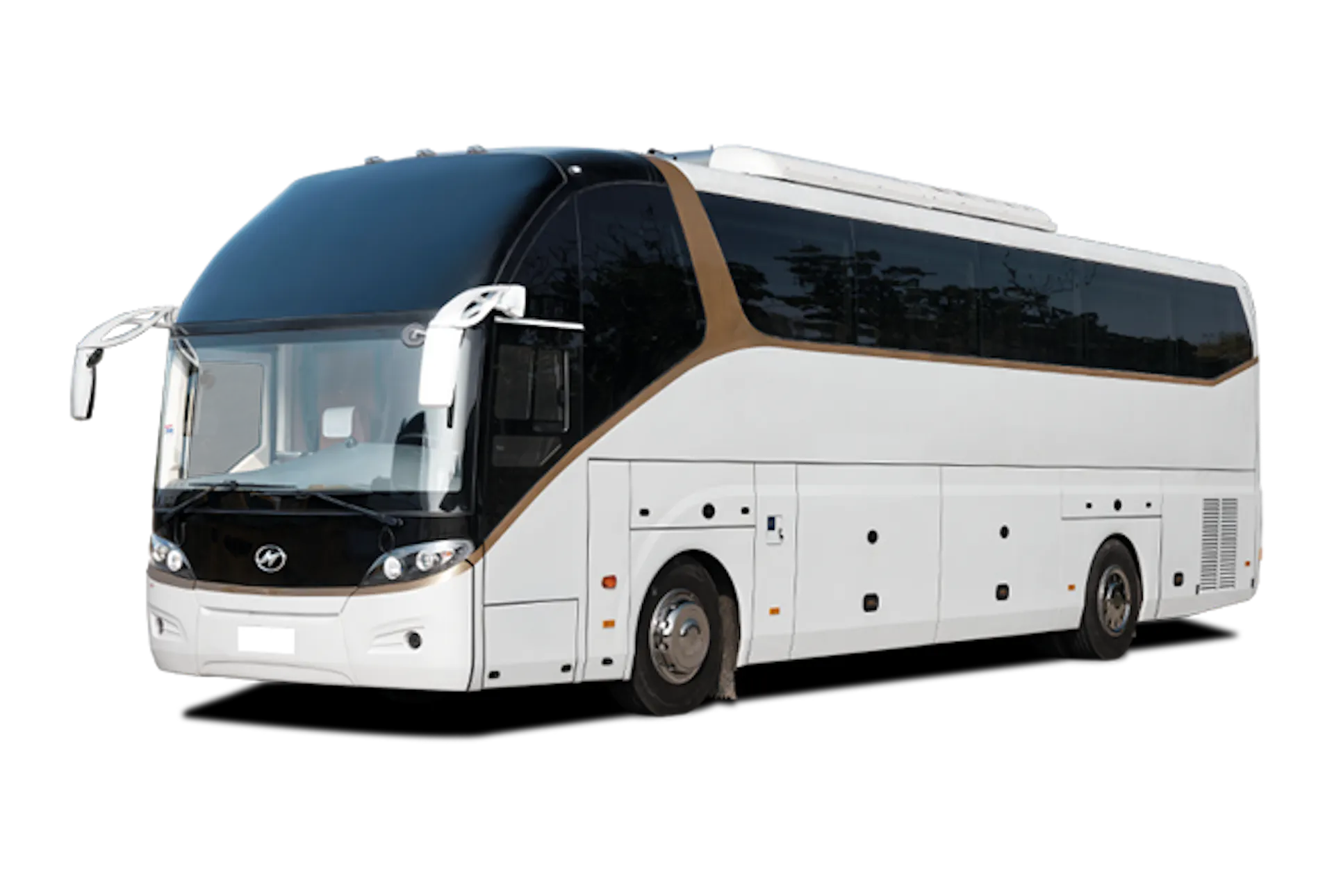 59 Seater Luxury