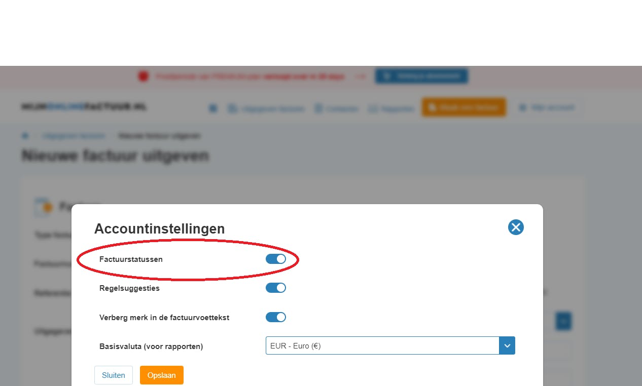 Optie om de status van facturen in het Mijn-Online-Factuur.nl account te bekijken.