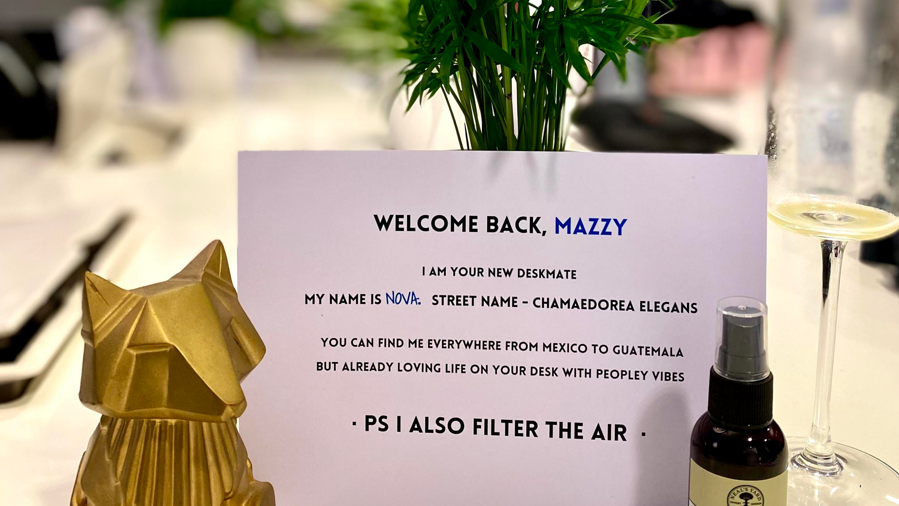 Welcome back card on a Fold7 desk