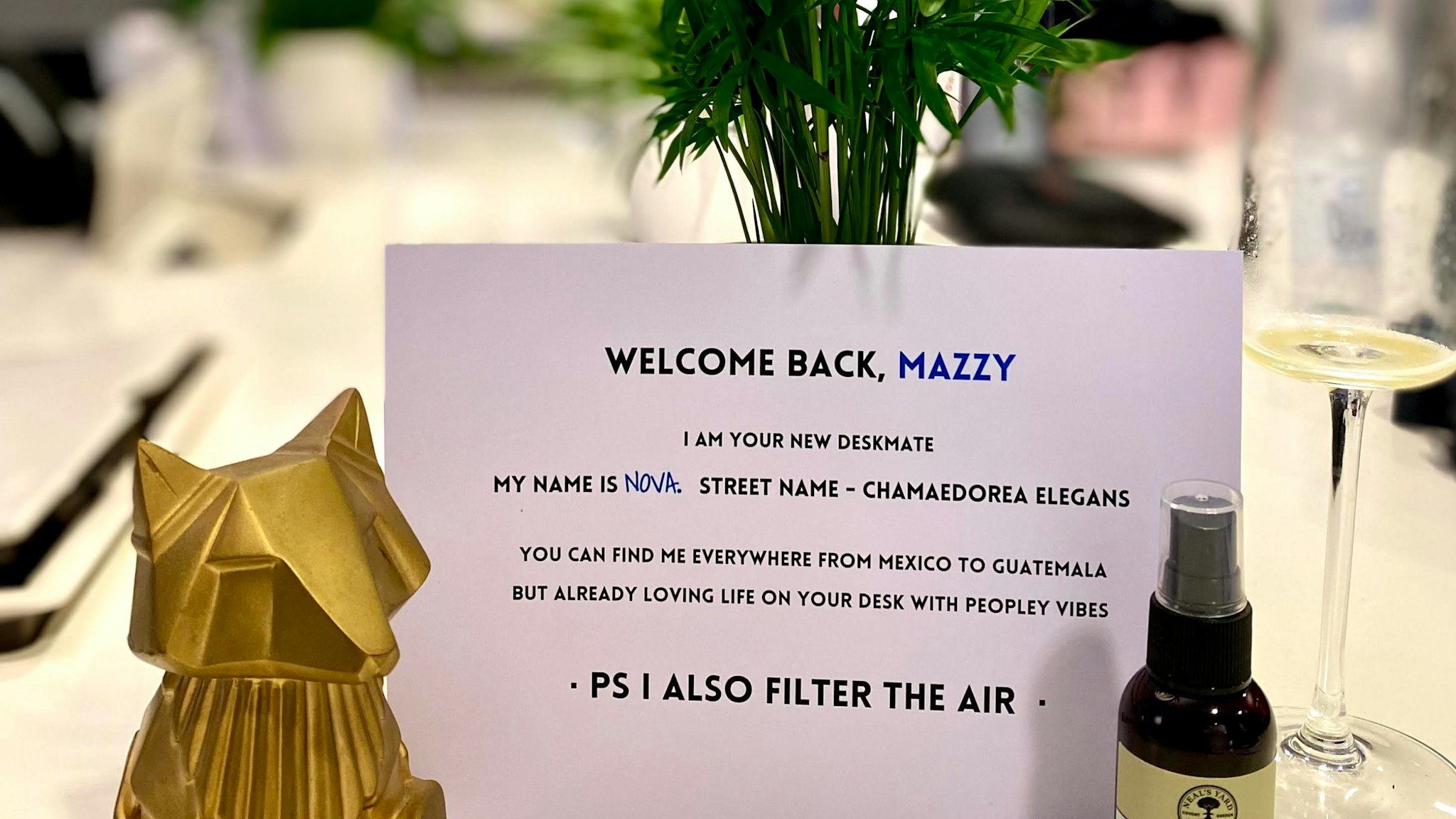 Welcome back card on a Fold7 desk