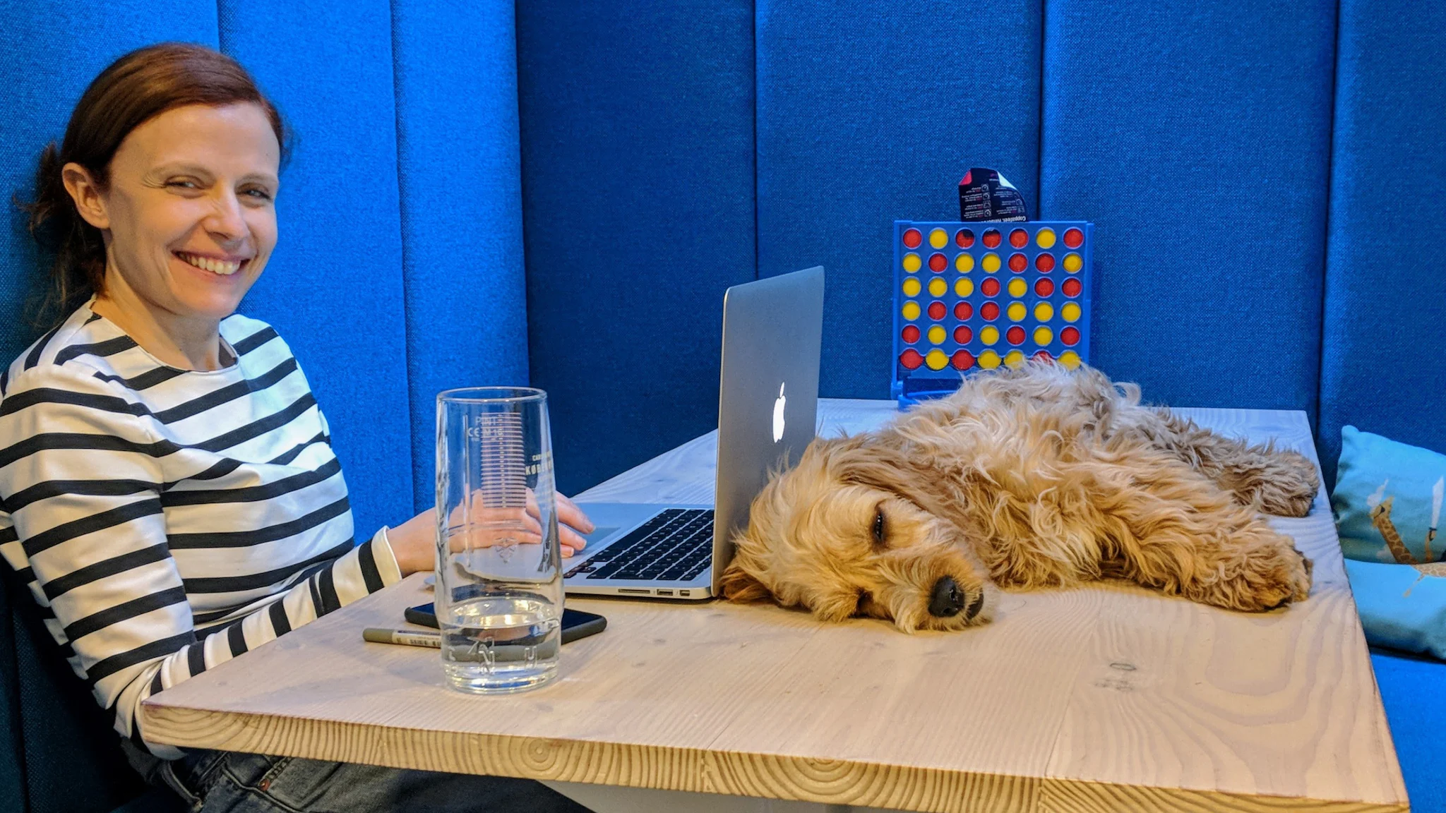 Dog asleep on Fold7 desk