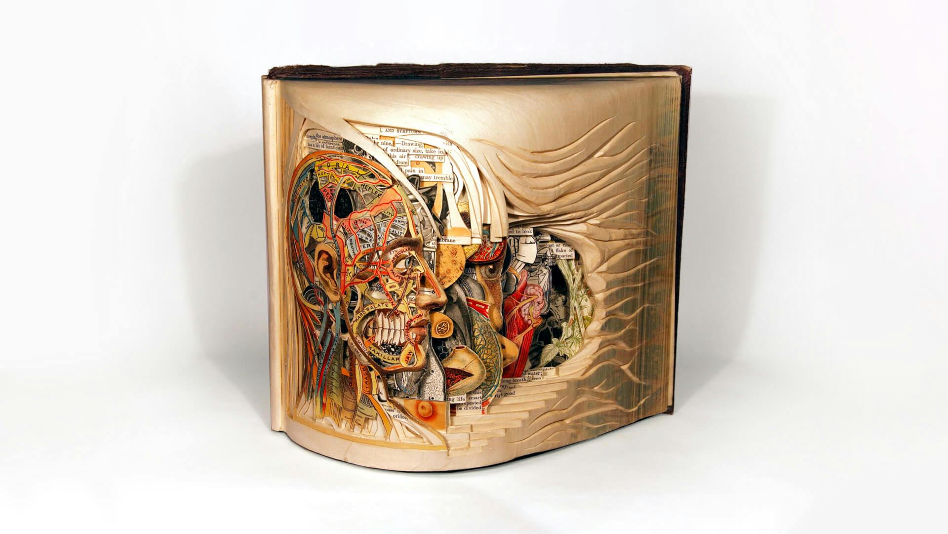 Anatomy of a human face