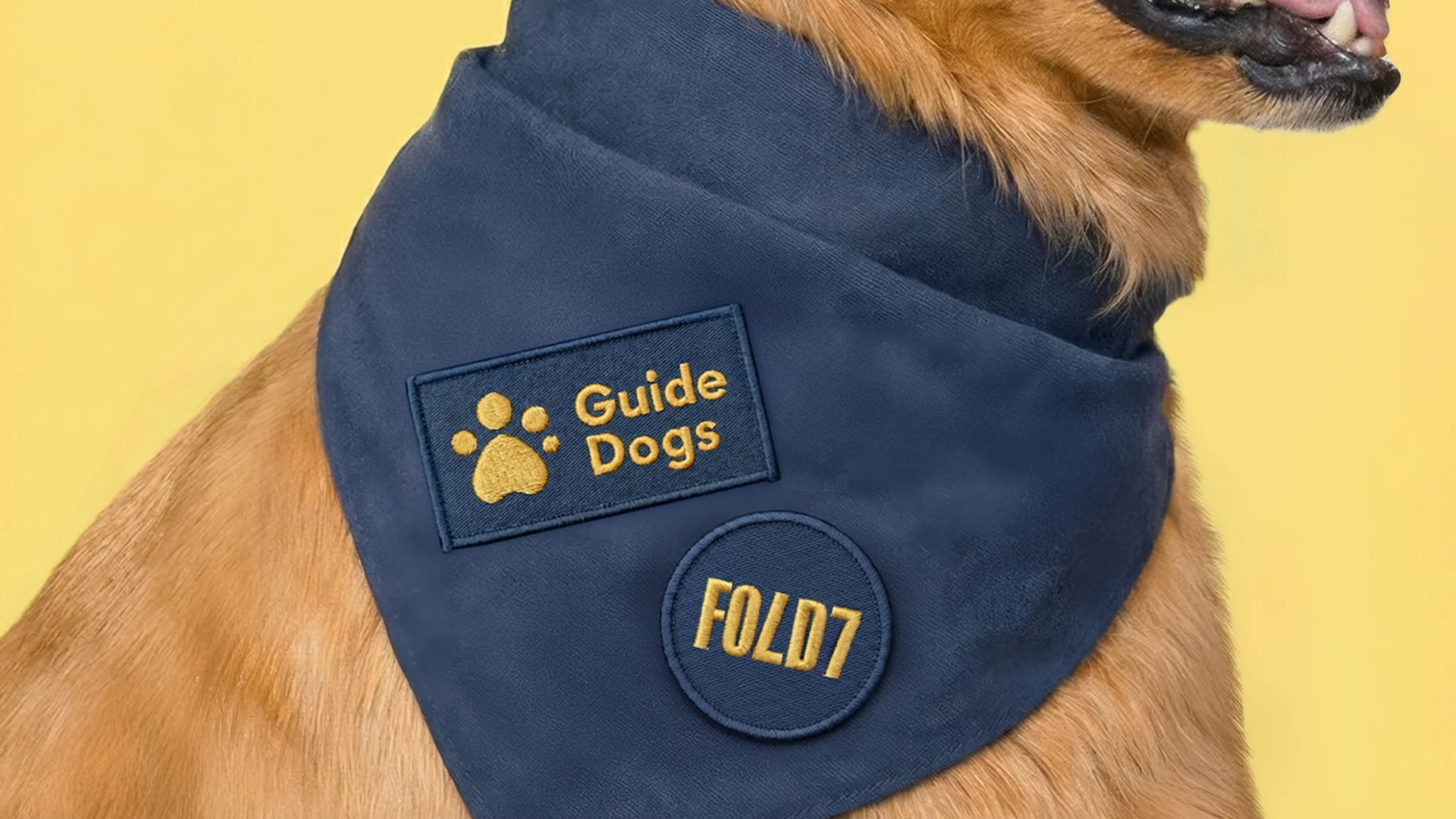 Guide Dogs wears scarf with Fold7 logo