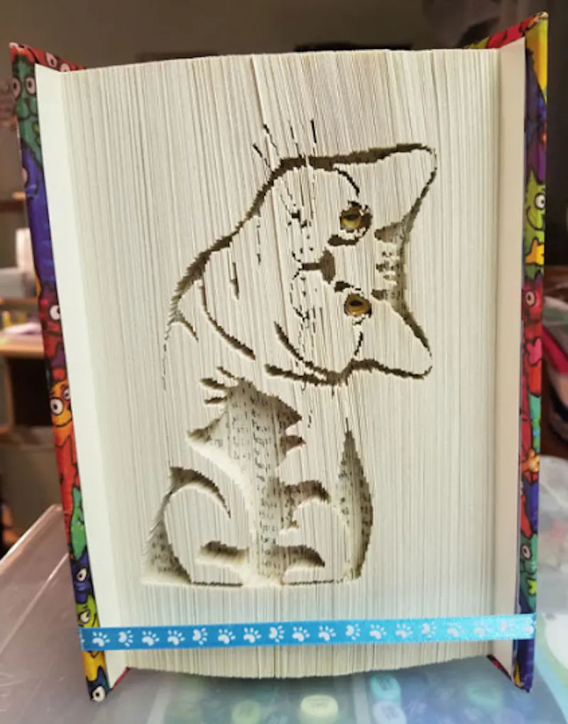 The Purrfect Book
