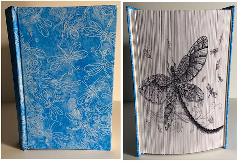 Fore-edge photo strip - Dragonfly