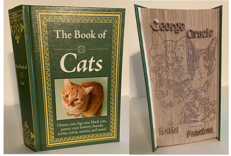 Cats shadow fold with embossed wording