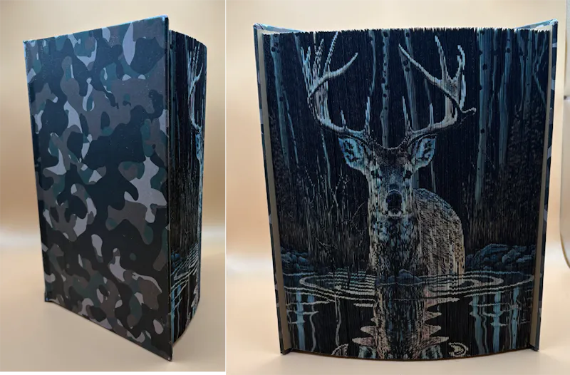 Deer In Woods