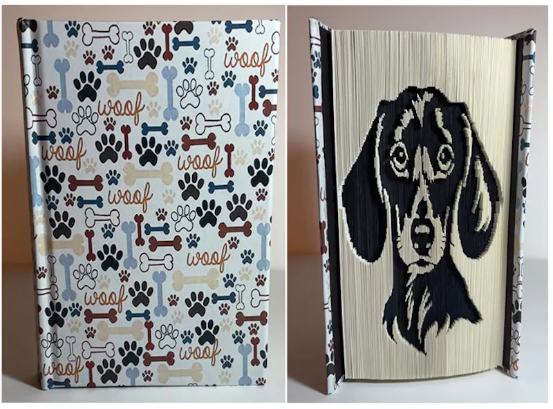 Dachshund