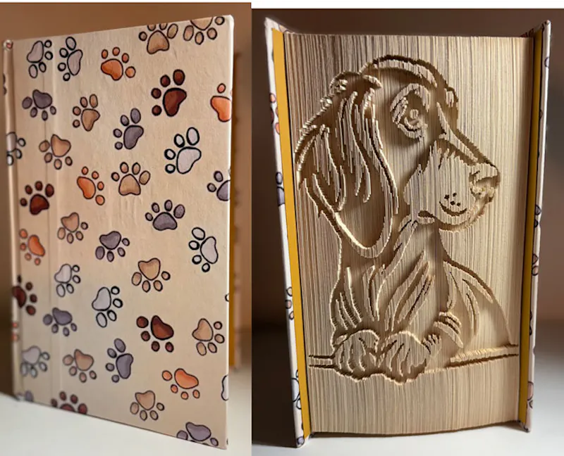 Longhaired Dachshund