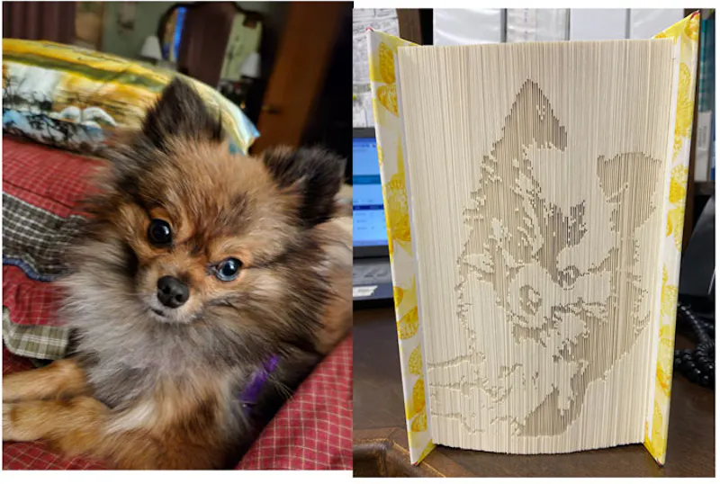 Custom shadow fold from photo