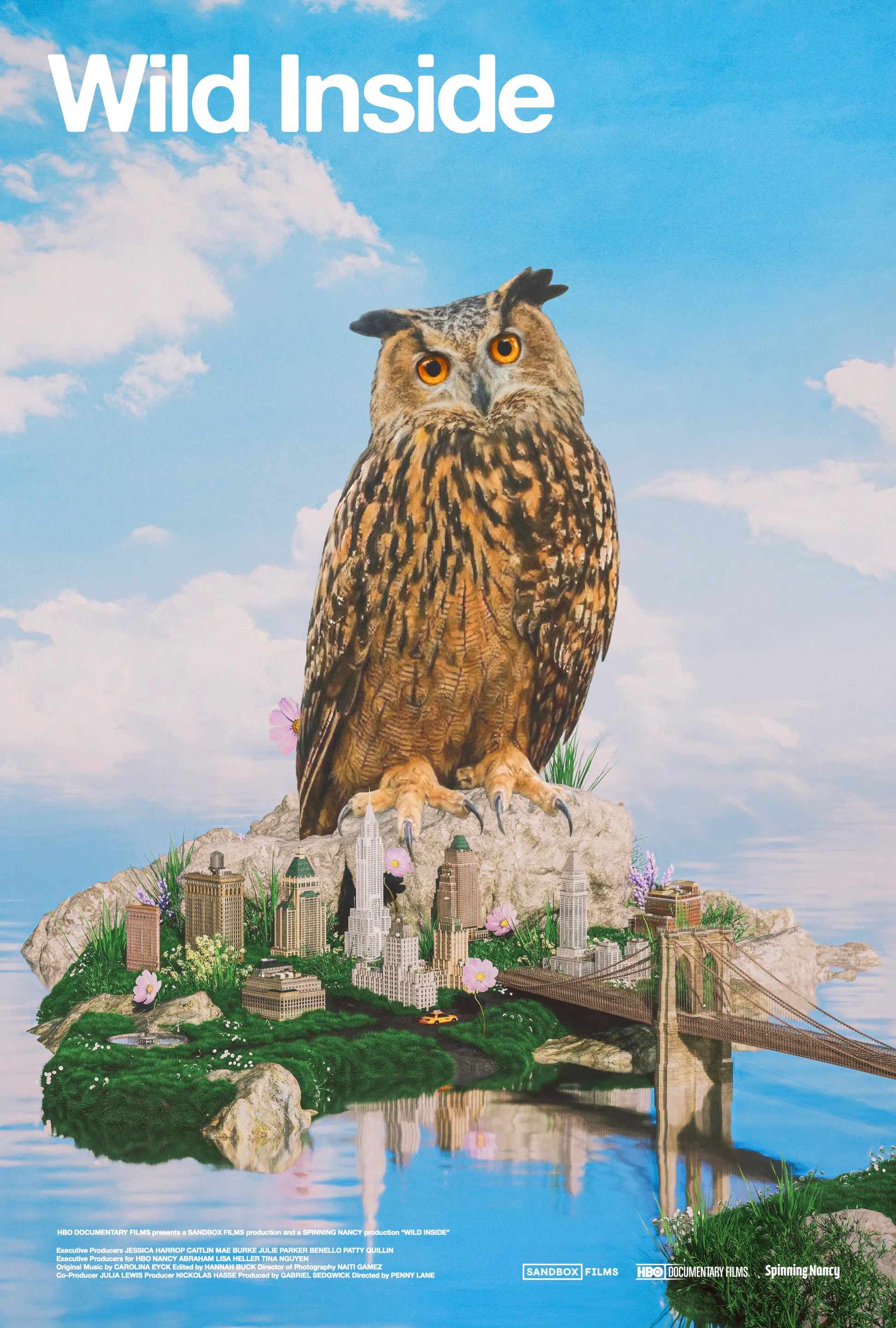 a large owl looks at the camera
