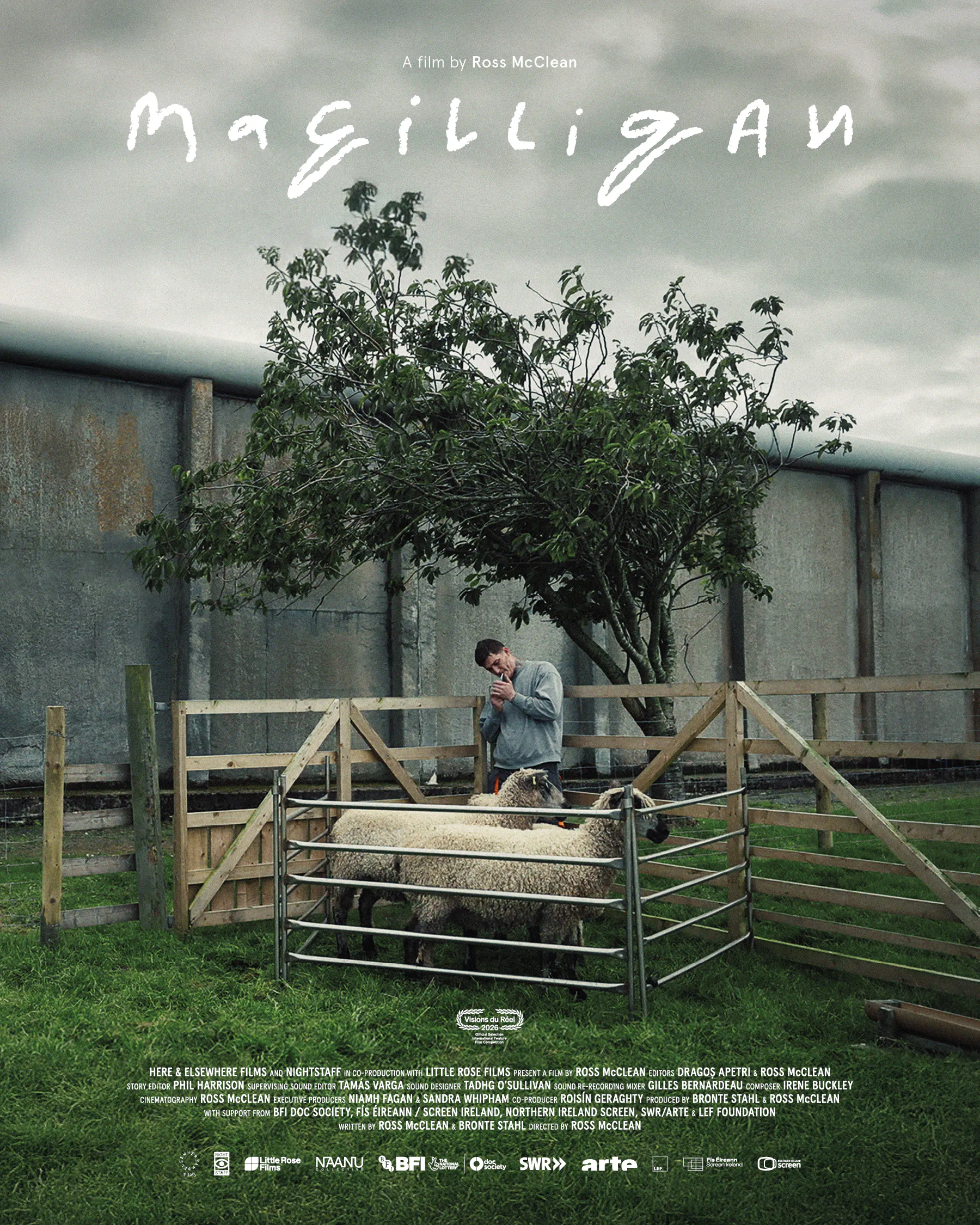 a young man contemplates sheep in a pen