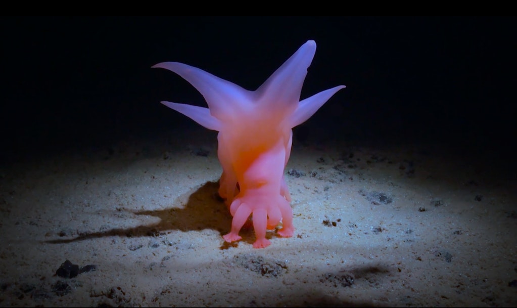 How Deep Is Your Love image