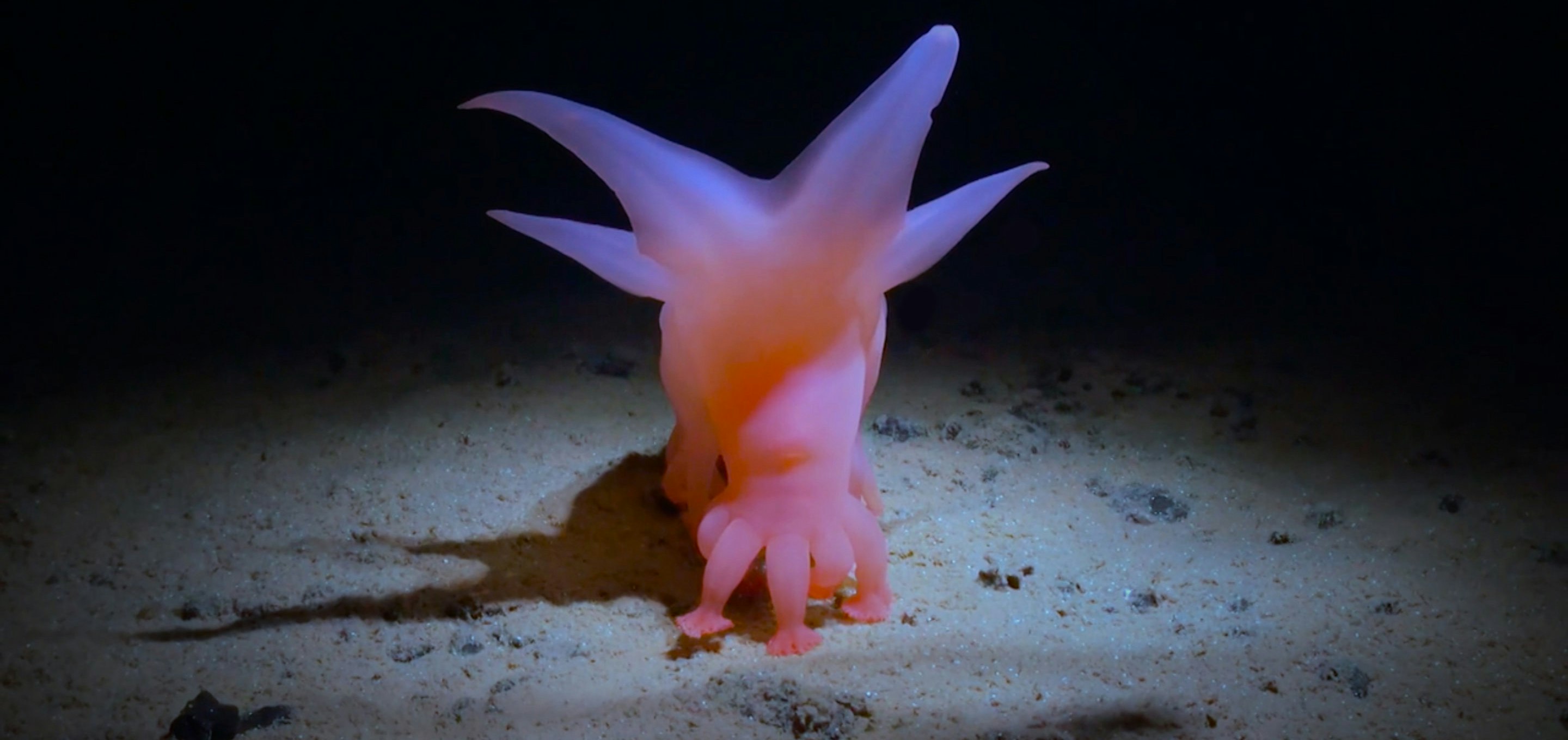 How Deep Is Your Love image