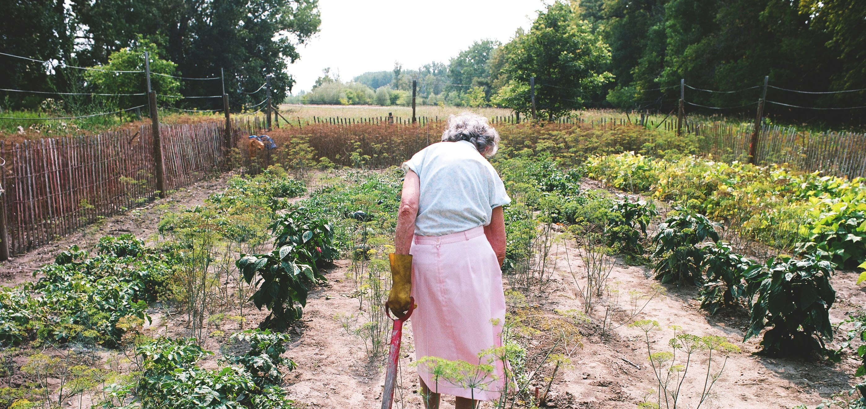 an older woman tends her garden
