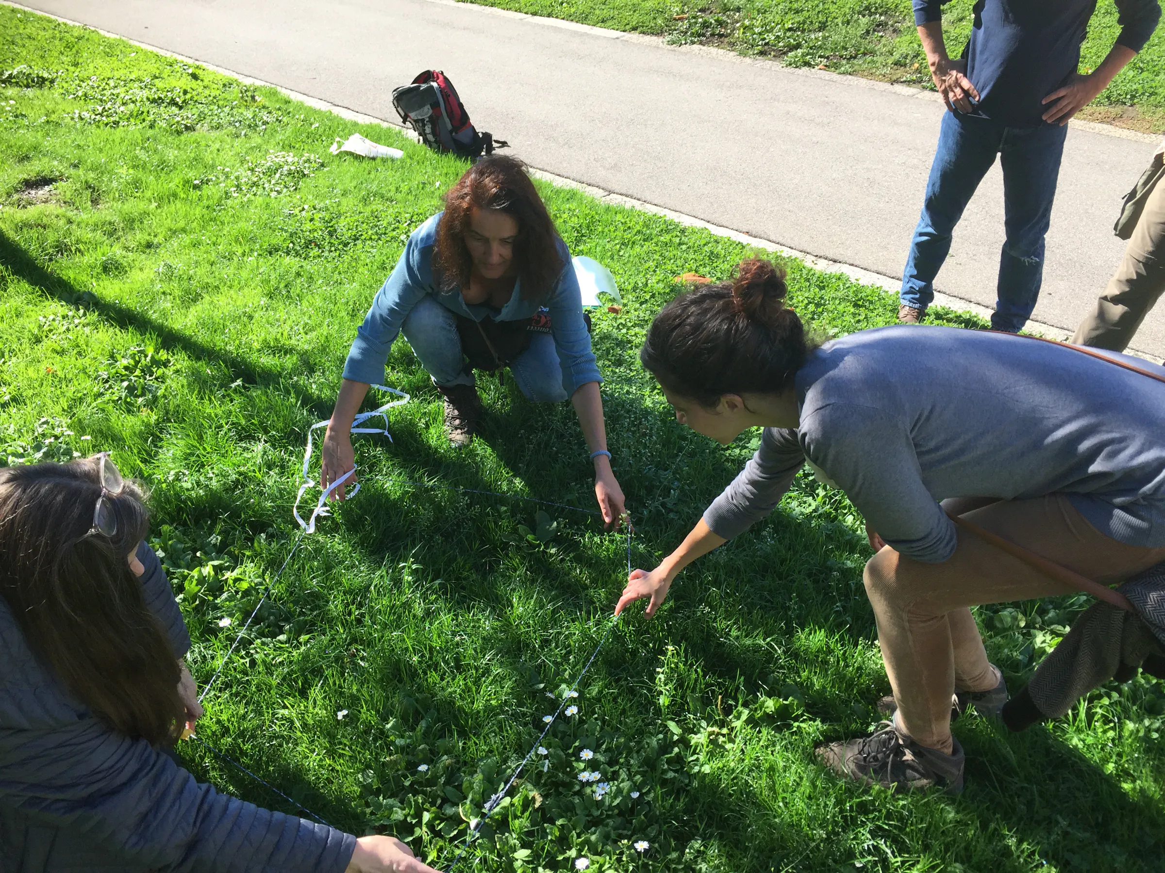 “Plantes sauvages comestibles de Vevey” 