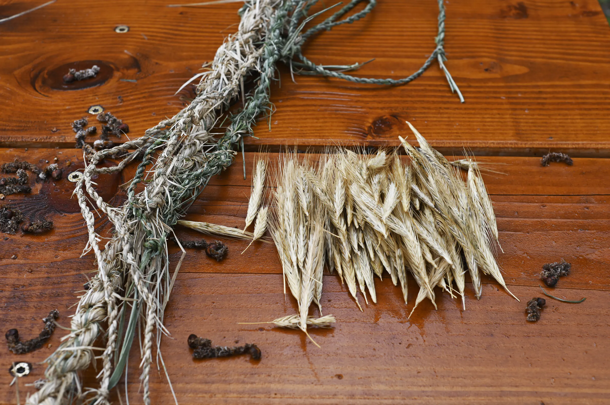 “Walk and weaving grasses x butter and beeswax coating” by Suzanne Bernhardt and Philipp Kolmann