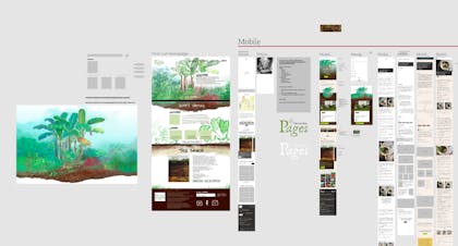 Screenshot of the figma board with screens for the redesigned Foodscape Pages