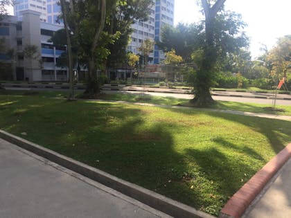 Virgin patch of grass near a block of HDBs