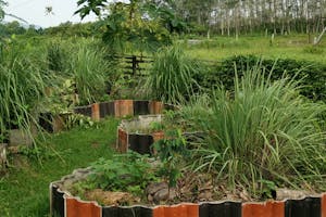 Image of Serukam Farm by Thomas