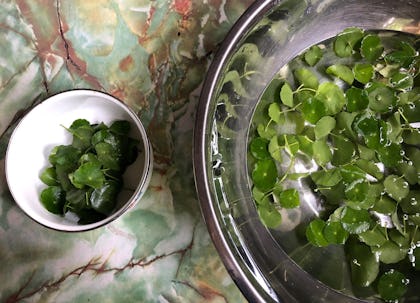 Dried off leaves placed in a small bowl, beside a bigger metal bowl of the same soaking leaves
