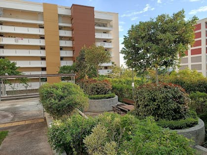 rooftop garden with HDB flat in the background