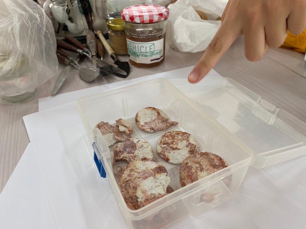 Cross-section of soil 