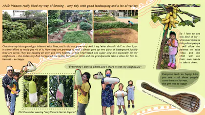 Photo-journal entry of a kampong farm at Mugliston