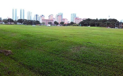 Photo of an open green field in front of a block of HDBs