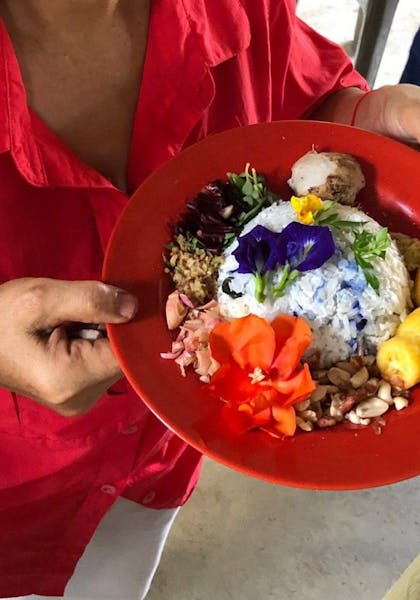 plate of colourful foods sourced from garden