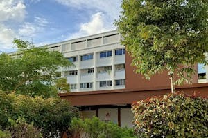 Picture of the rooftop community garden
