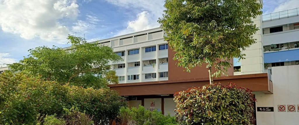 Picture of the rooftop community garden