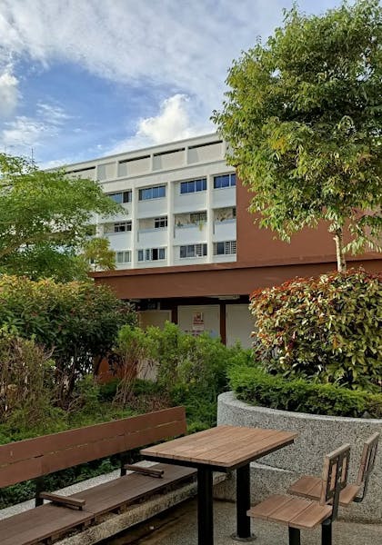 Picture of the rooftop community garden